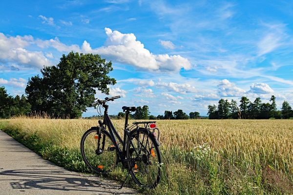 Aktywne wycieczki rowerowe z przyczepką - zalety i porady