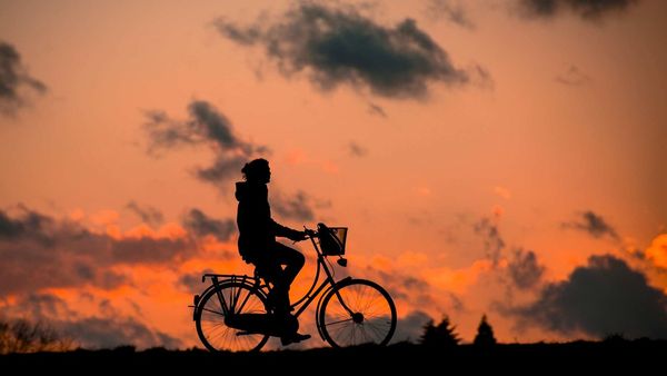 Kupno czy wynajem przyczepki rowerowej? Sprawdź, co będzie najlepszym wyborem